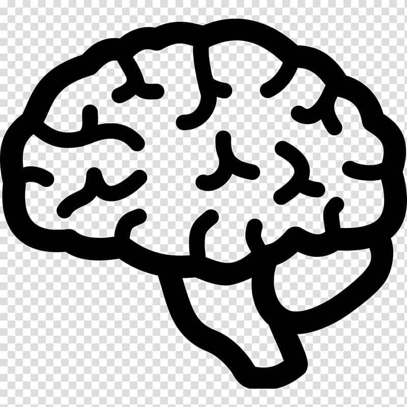 Human brain Computer Icons Brain damage, Brain transparent background PNG clipart