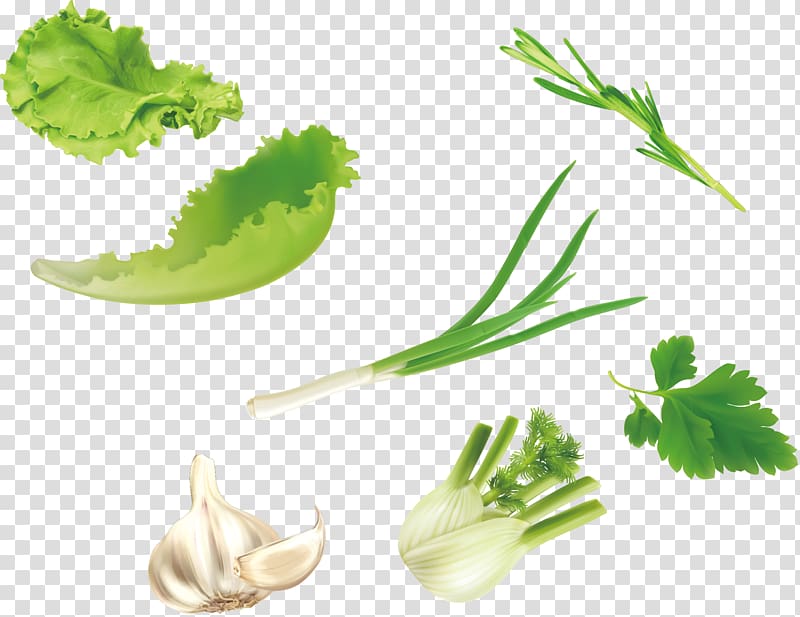 assorted vegetables collage, Leaf vegetable u7dd1u9ec4u8272u91ceu83dc Salad, green vegetables lettuce parsley garlic transparent background PNG clipart