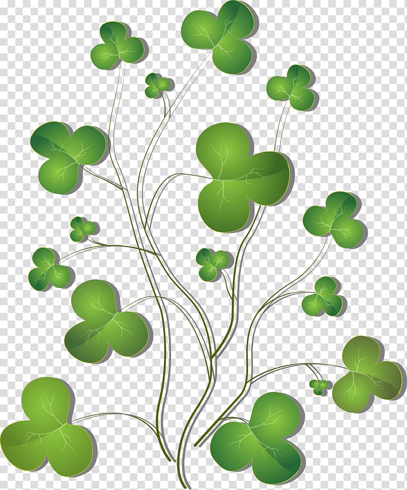 Four-leaf clover Shamrock Euclidean , plant transparent background PNG clipart