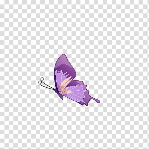 Butterfly, Purple Butterfly transparent background PNG clipart