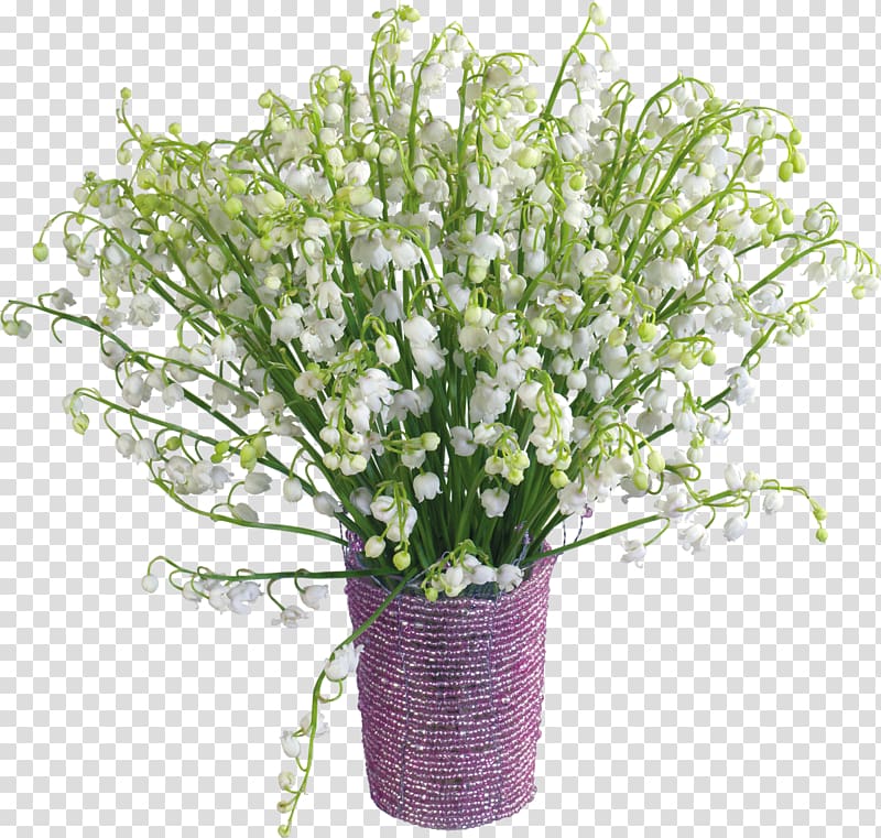 Flower, lily of the valley transparent background PNG clipart