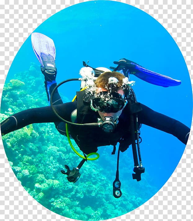 Scuba diving Underwater diving Underwater Open Water Diver, others transparent background PNG clipart