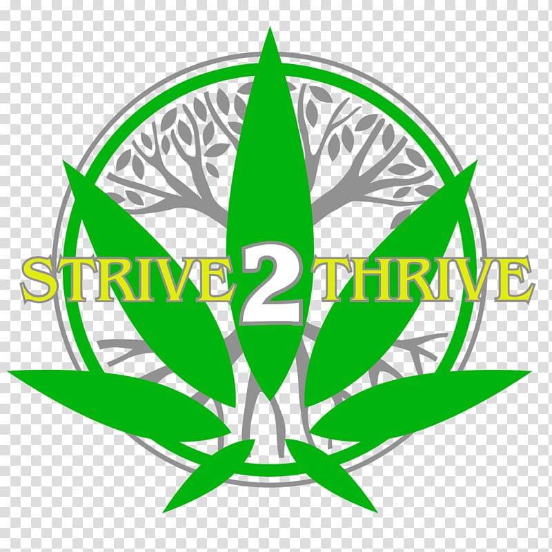 Medical cannabis Florida Amendment 2 Chronic pain Therapy, strive transparent background PNG clipart