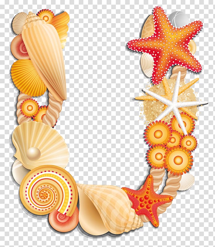 Letter Seashell U English alphabet, seashell transparent background PNG clipart