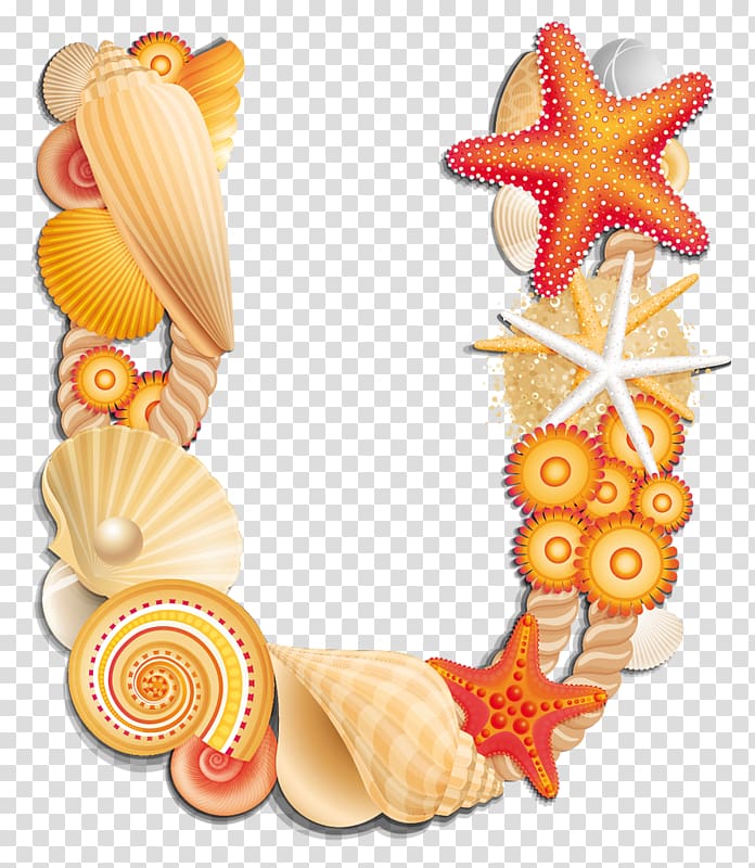 Letter Seashell U English Alphabet Seashell Transparent Background PNG Clipart HiClipart