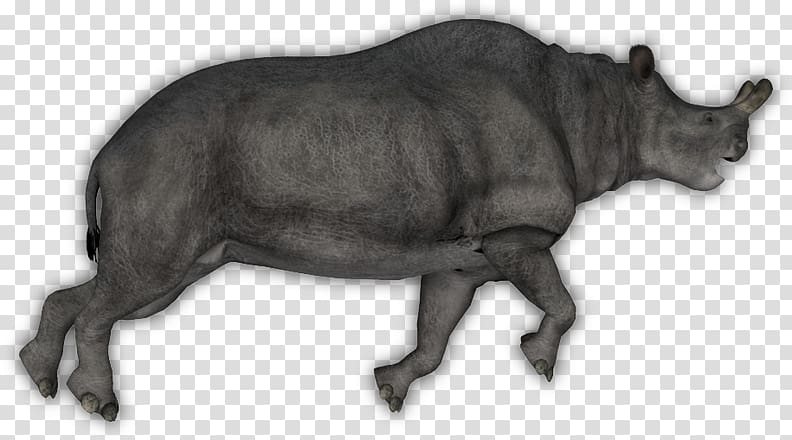 Cattle Tapir Rhinoceros Bison Horn, bison transparent background PNG clipart