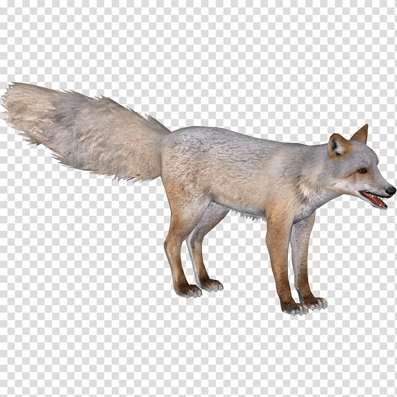 Zoo Tycoon 2 Red fox Corsac fox Blanford\'s fox Gray wolf, fennec fox transparent background PNG clipart