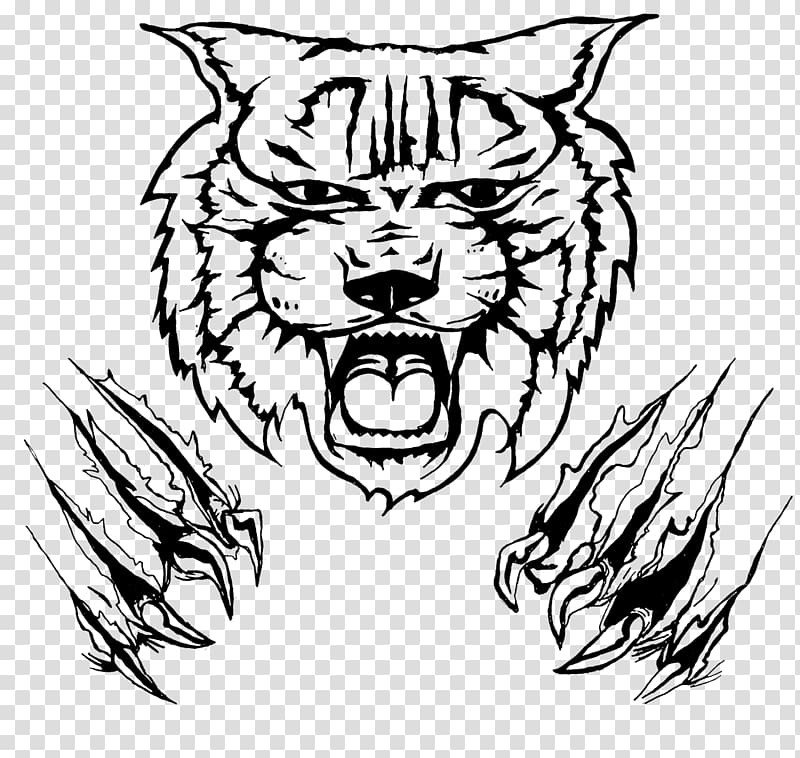 Wildcat Bobcat Drawing , claw scratch transparent background PNG