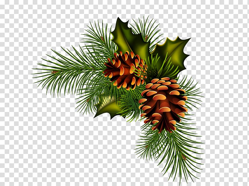 Pine Spruce Fir Conifer cone, Pine cone material transparent background PNG clipart