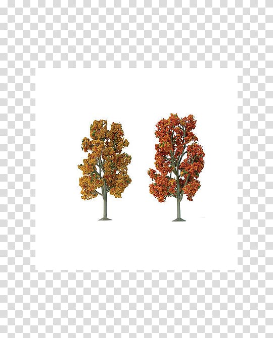 O scale Tree American sycamore Pine Autumn, tree transparent background PNG clipart