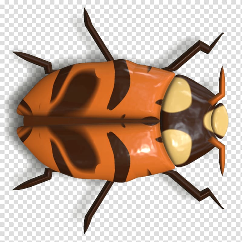 orange, white, and black beetle illustration, Ladybug Orange and Brown transparent background PNG clipart