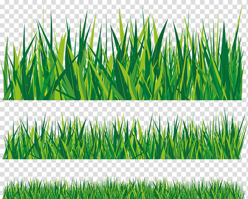 grass background