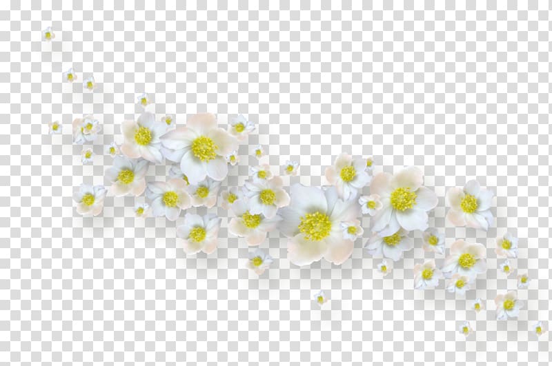 Flower garden Petal Common lilac, arka fon transparent background PNG clipart