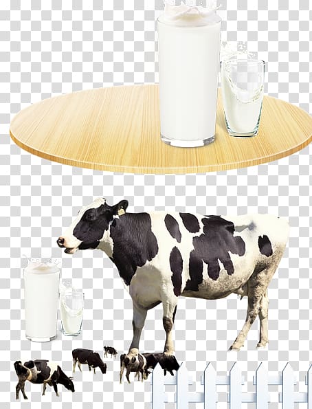 Dairy cattle Automatic milking, Milk advertising transparent background PNG clipart