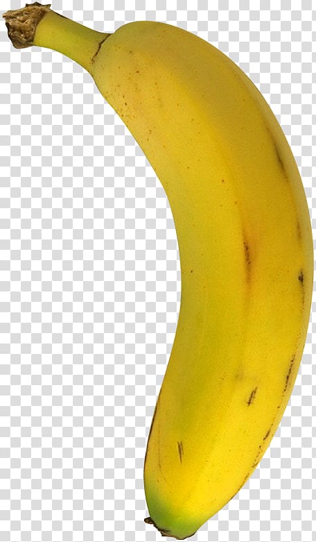 Saba banana Index.hr Croatian Cooking banana, others transparent background PNG clipart