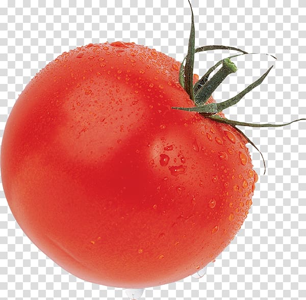 Cherry tomato Pa amb tomàquet Vegetable Food, vegetable transparent background PNG clipart