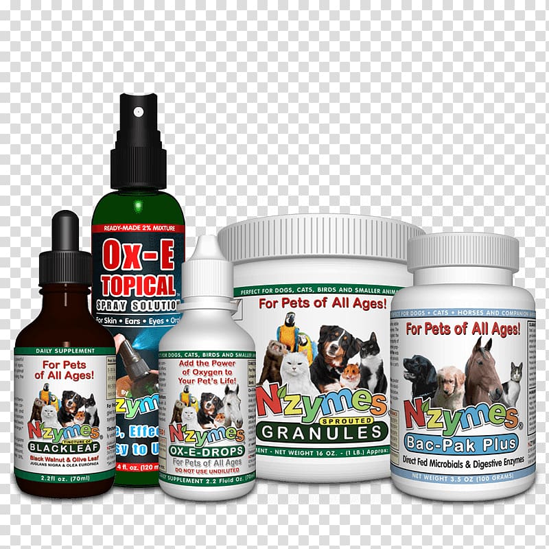 Allergy Allergies in dogs Health Disease, problem skin transparent background PNG clipart