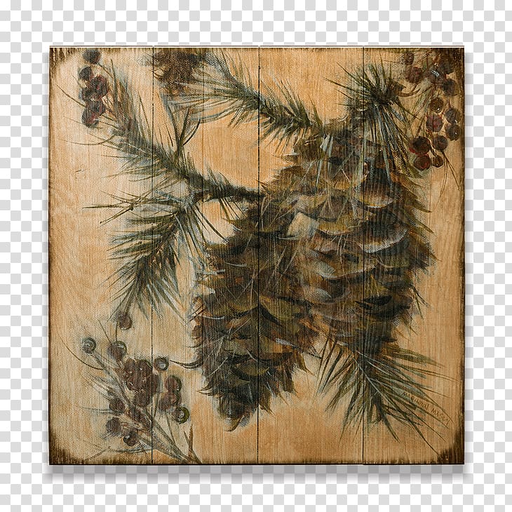 Fir Pine Conifer cone Spruce, design transparent background PNG clipart