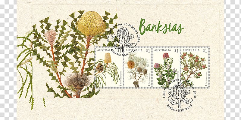 Floral design Australia Postage Stamps Banksia Philately, Australia transparent background PNG clipart