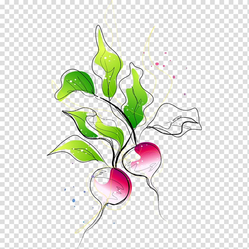 Carrot Vegetable Radish, Hand-painted carrot transparent background PNG clipart