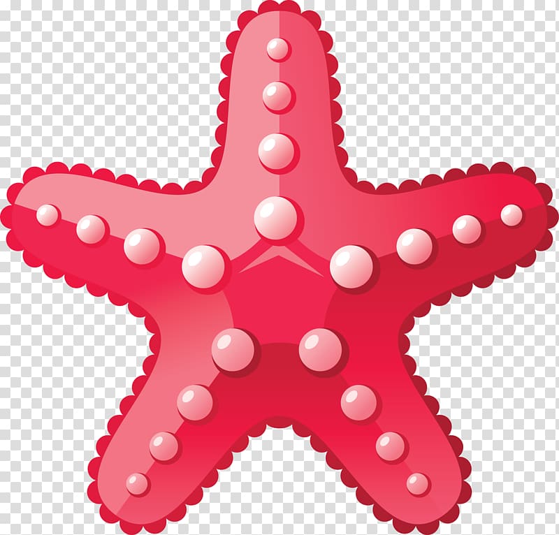 Starfish transparent background PNG clipart