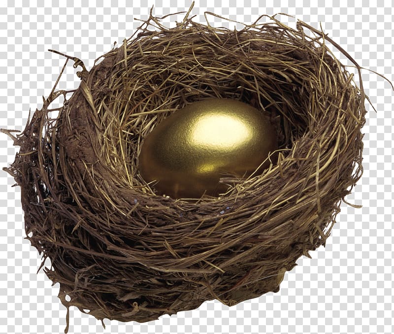 Bird nest Egg, nest transparent background PNG clipart
