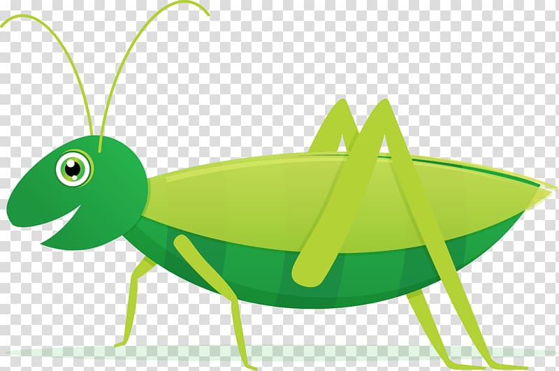 Grasshopper , grasshopper transparent background PNG clipart