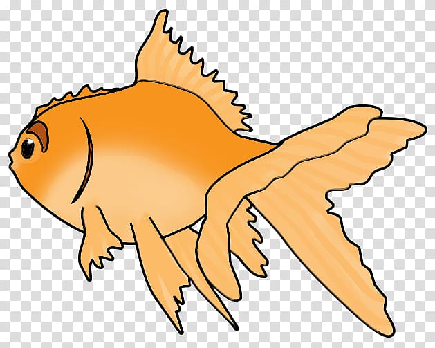 Ryukin Fish Drawing , goldfish transparent background PNG clipart