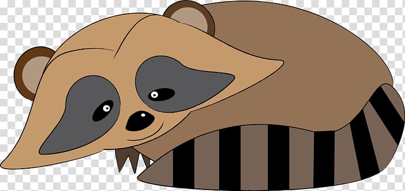 Bear Dog Procyonidae Carnivora Mammal, raccoon transparent background PNG clipart
