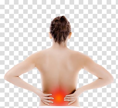 Nape Shoulder Back pain Human back Lumbar, others transparent background PNG clipart
