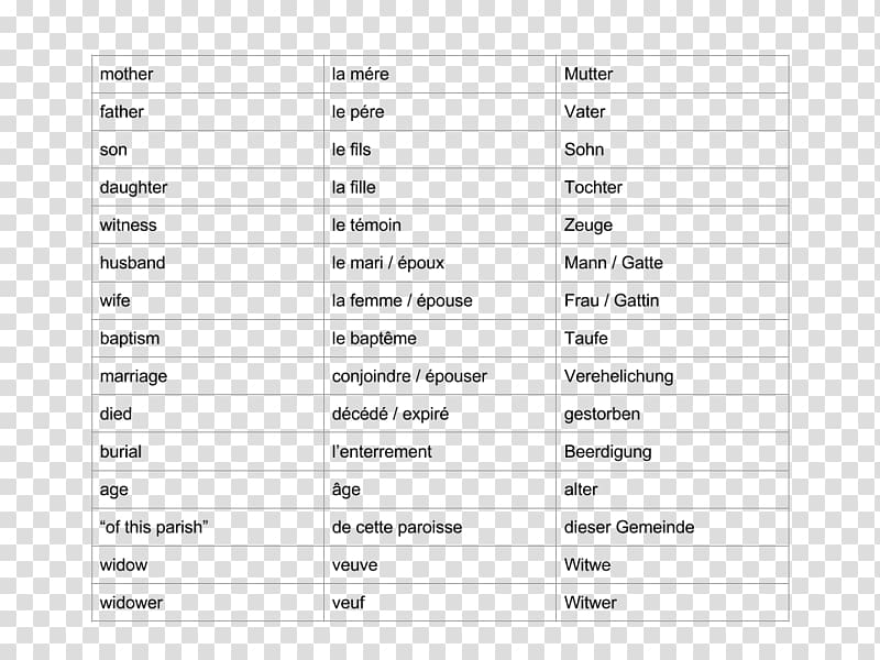 Translation English France Word French Words English Transparent 