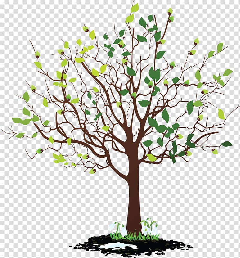 Tree , animated mangrove forest transparent background PNG clipart