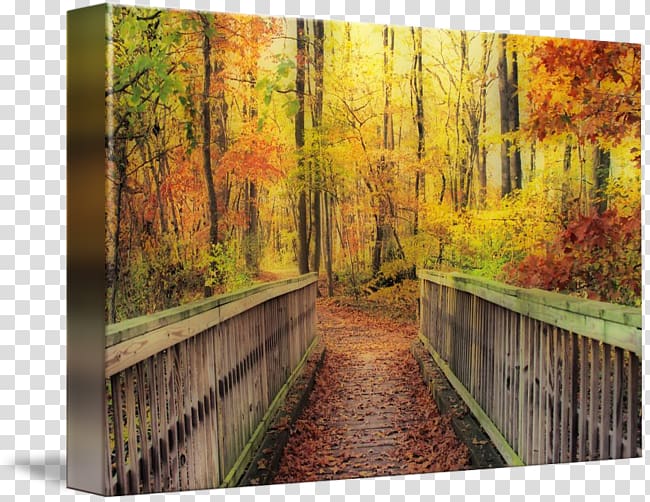 Wood Painting Gallery wrap Nature Canvas, wooden bridge transparent background PNG clipart