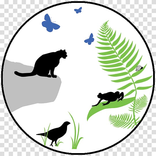 Cat Computer Icons Wildlife , Adaptability Icon transparent background PNG clipart