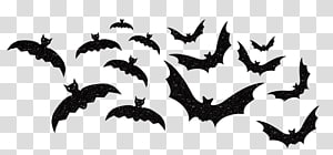 bat transparent background PNG clipart thumbnail