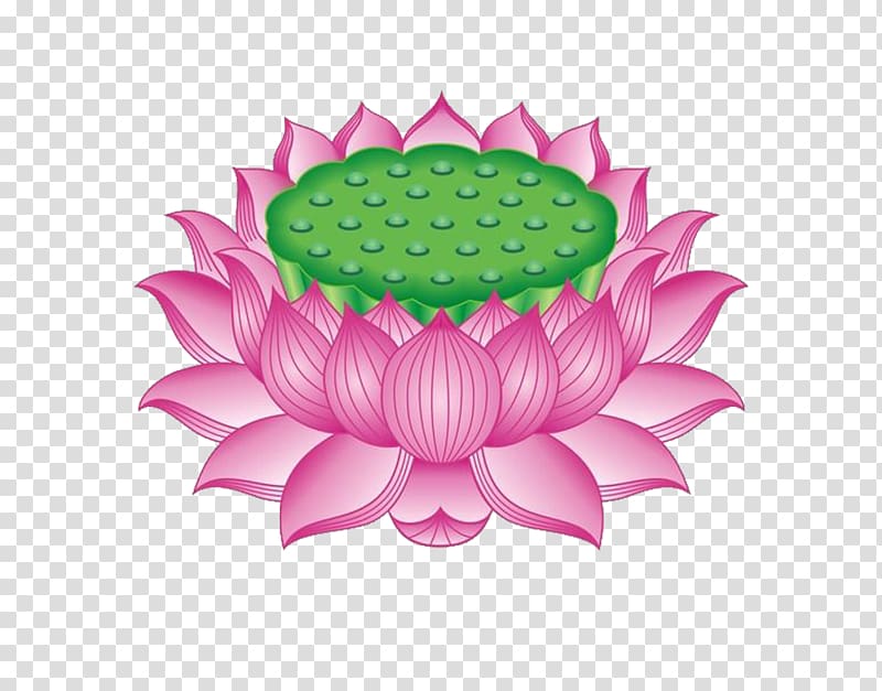 bodhisattva lotus transparent background PNG clipart