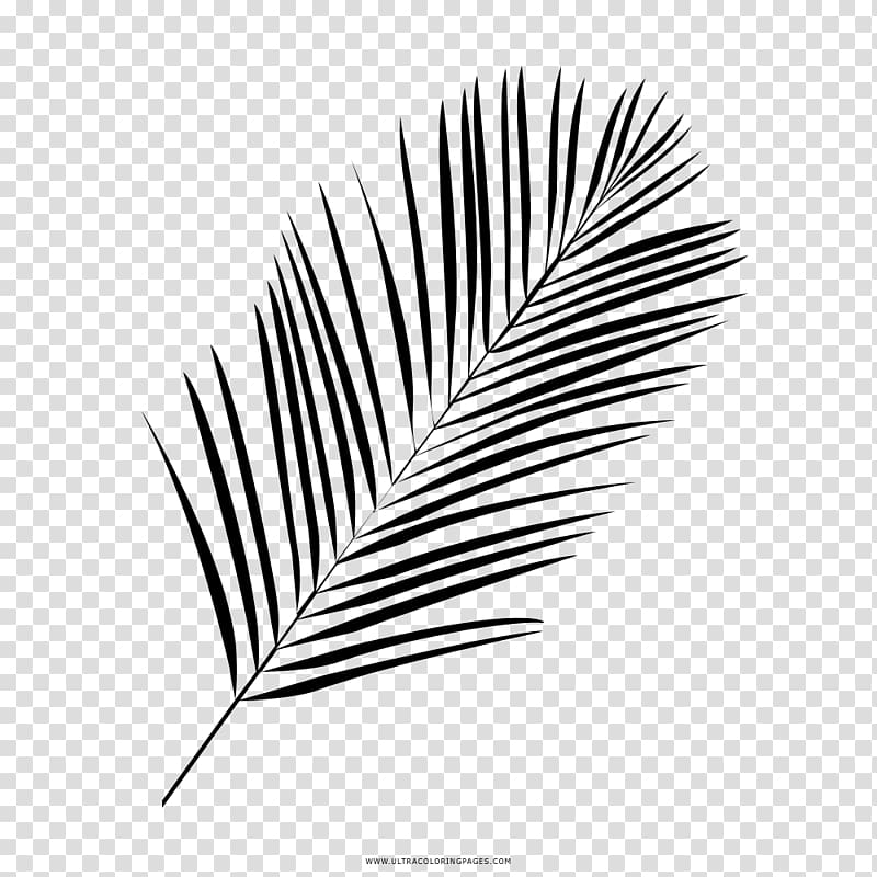 Drawing Black and white Leaf Coloring book, Leaf transparent background PNG clipart