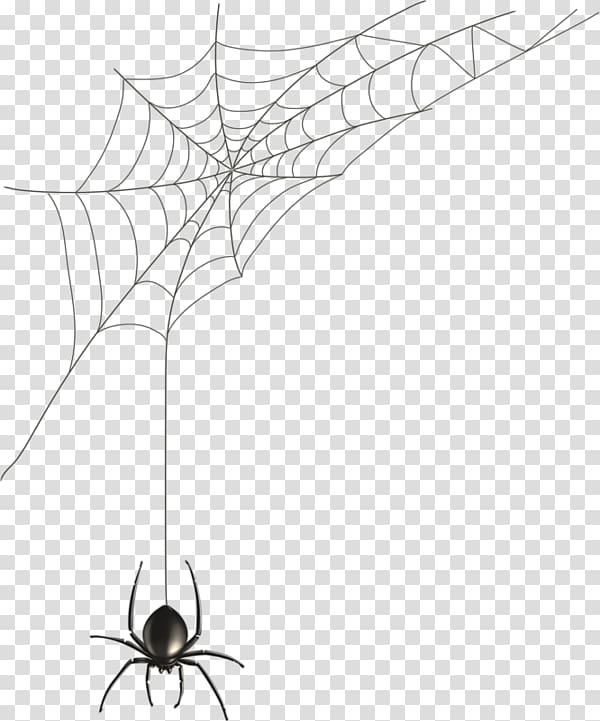 black spider and spiderweb illustration, Spider web Black house spider Illustration, Hand-painted spider web transparent background PNG clipart