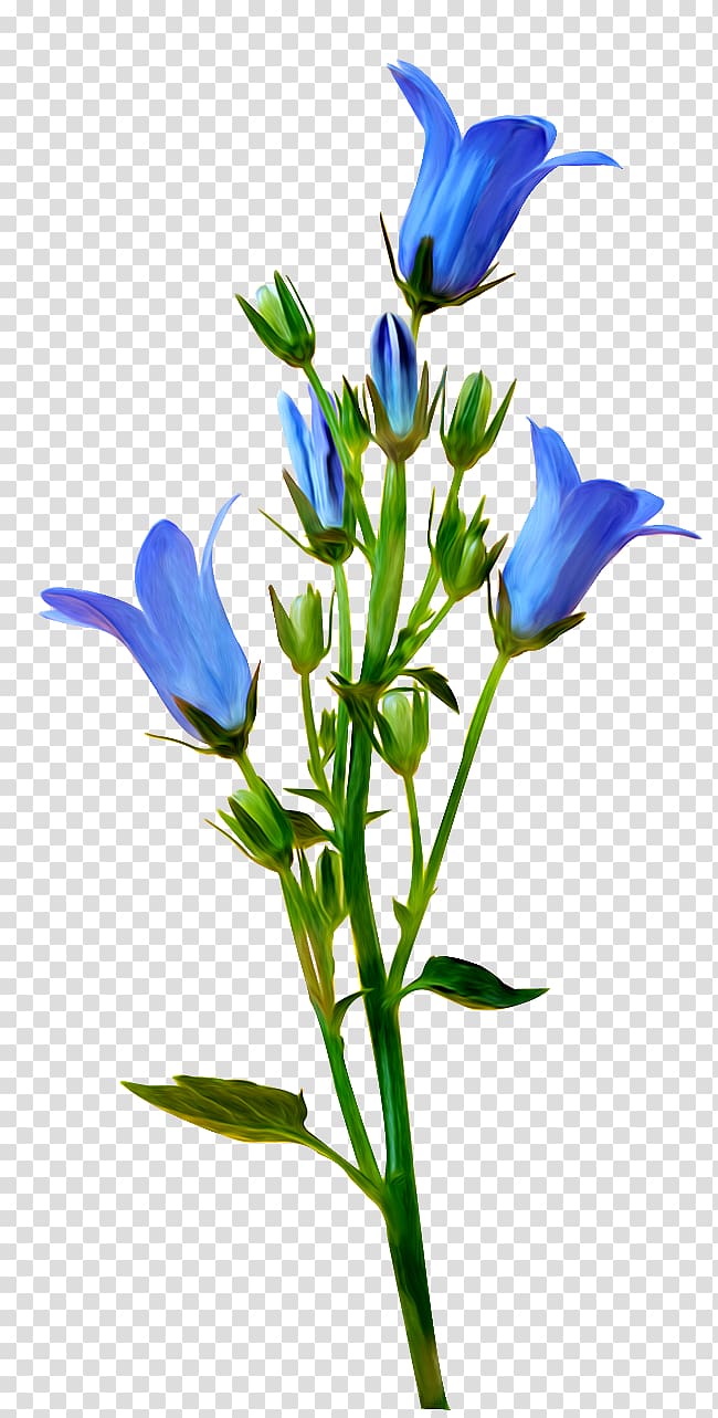 Flower Yandex Search Blossom Blue , flower transparent background PNG clipart