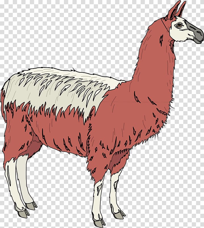 Llama Sheep Alpaca Animal , MAYONAISE transparent background PNG clipart