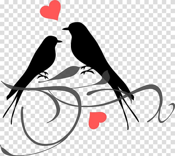 Grey-headed lovebird , Bird transparent background PNG clipart