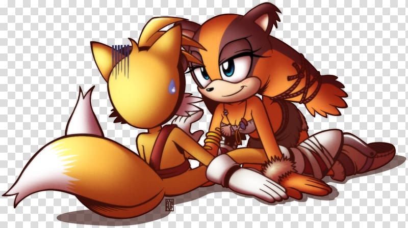 Tails Sonic the Hedgehog Knuckles the Echidna Doctor Eggman Amy Rose, sticks the badger fanart transparent background PNG clipart