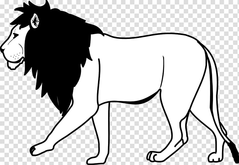 water park clipart black and white lion