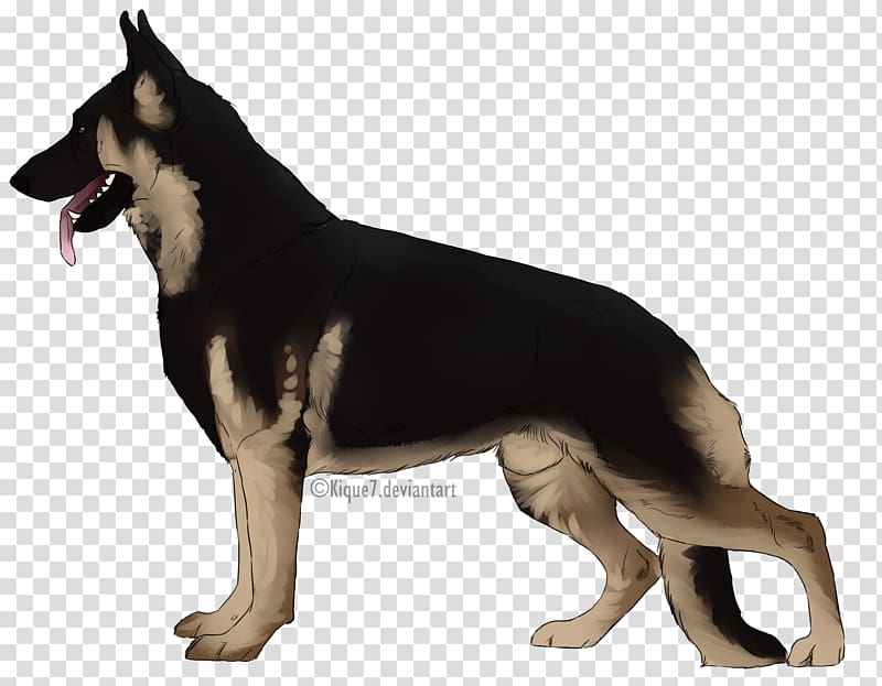 East-European shepherd Seppala siberian sleddog German Shepherd Kunming wolfdog Canaan Dog, dog Run transparent background PNG clipart