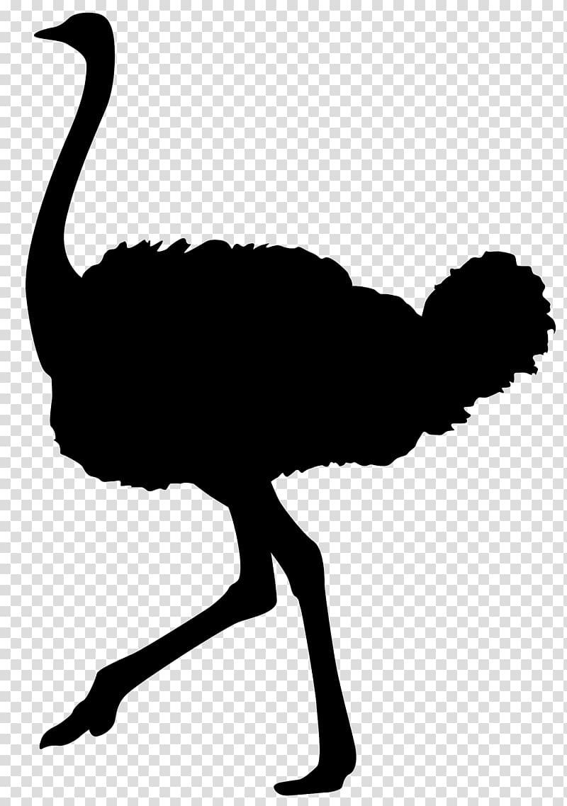 Common ostrich Bird Silhouette, animal silhouettes transparent background PNG clipart