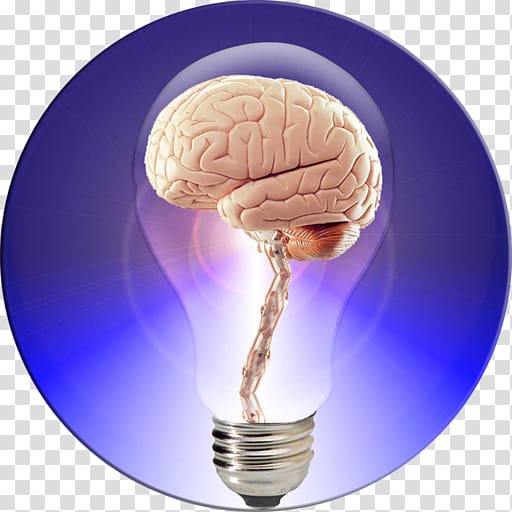 Human Brain Project Your Brain Power The brain book, Brain transparent background PNG clipart