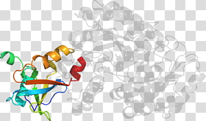 Organism , design transparent background PNG clipart thumbnail