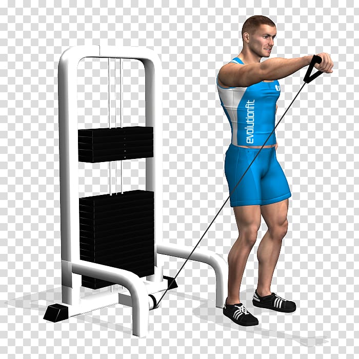Shoulder Physical fitness Exercise Cable machine Fly, fly transparent background PNG clipart