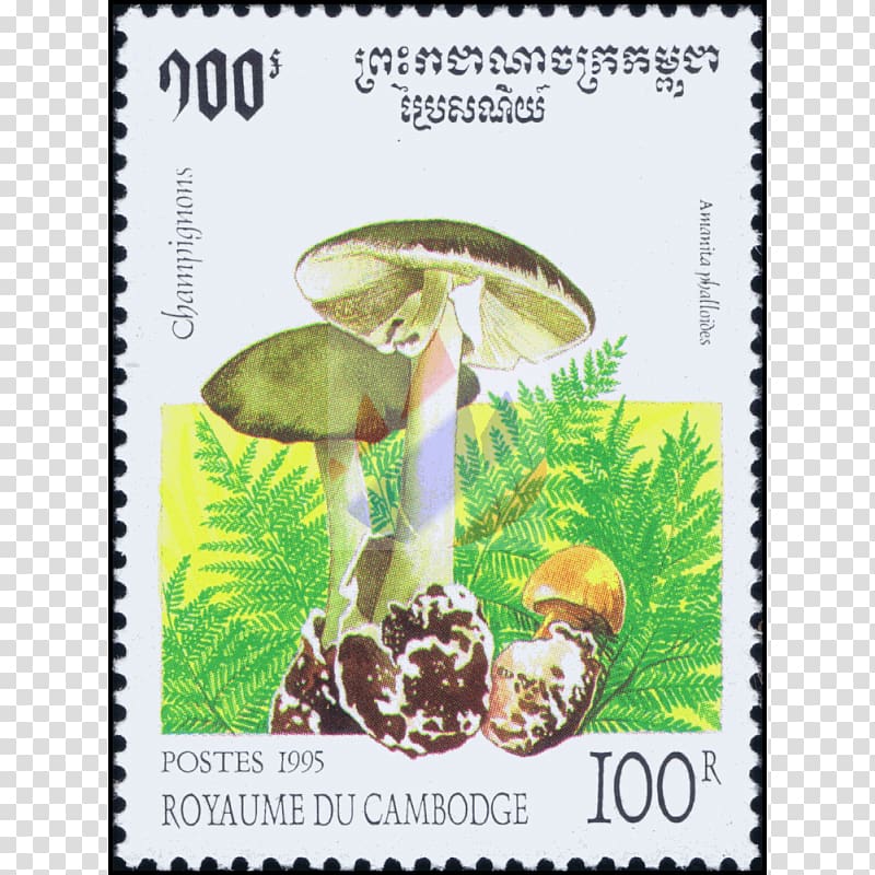 Flora Fauna Postage Stamps Plants Mushroom, cantharellus cibarius transparent background PNG clipart