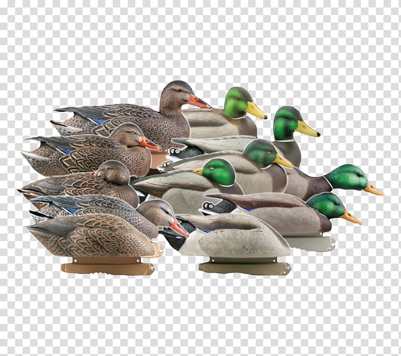 Mallard Duck decoy Goose, duck transparent background PNG clipart